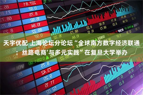 天宇优配 上海论坛分论坛“全球南方数字经济联通：丝路电商’与多元实践”在复旦大学举办